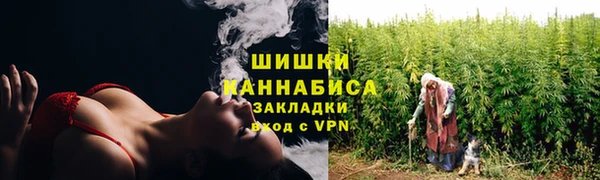 ПСИЛОЦИБИНОВЫЕ ГРИБЫ Алексин