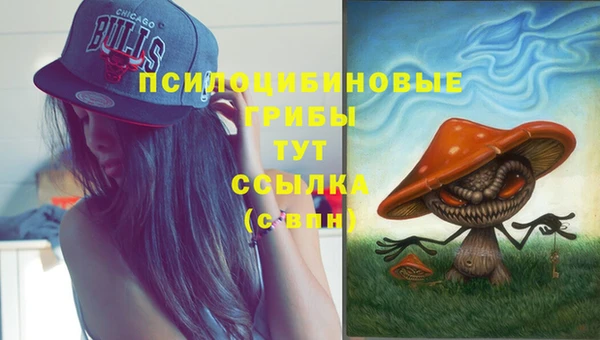 кокс Алзамай
