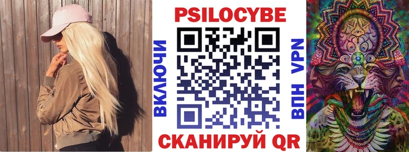 где купить   Зарайск  Псилоцибиновые грибы Psilocybe 
